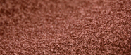 moquette