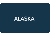 alaska bot