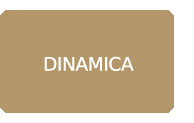 dinamica bott